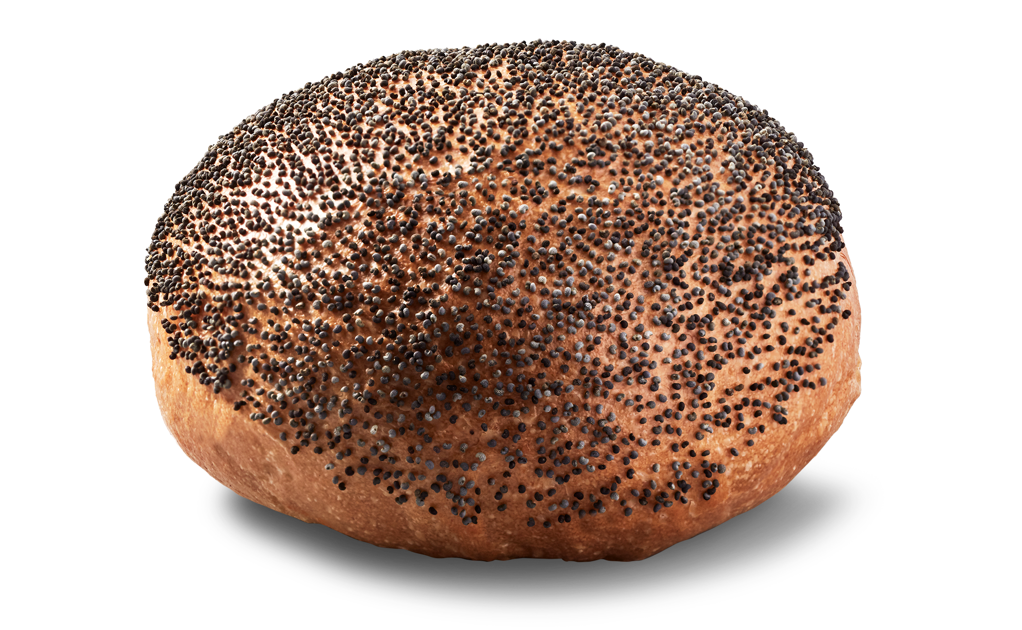 1004 1004