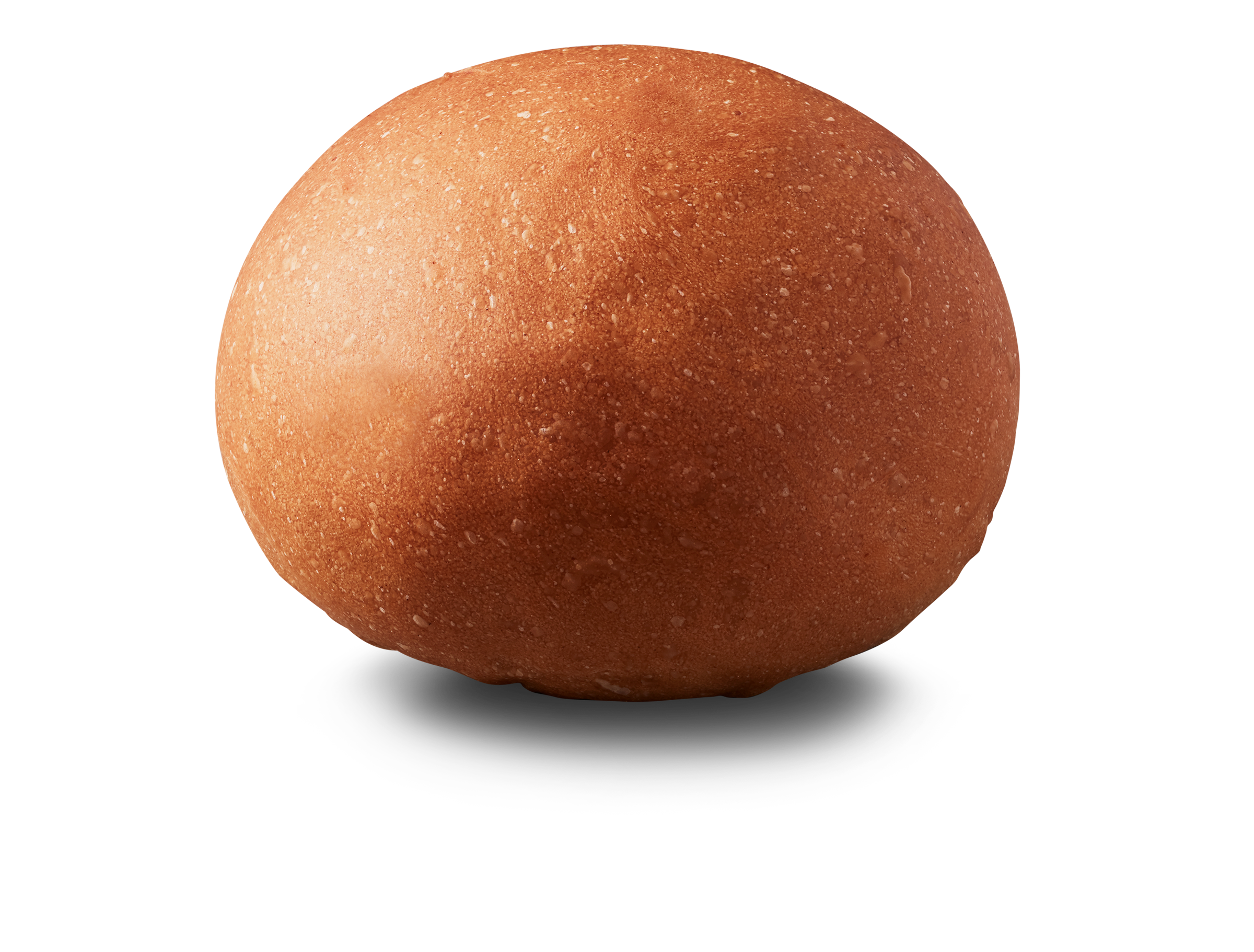 1081 1081